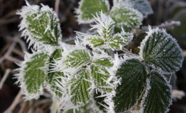 Prognoza meteo pentru 4 decembrie