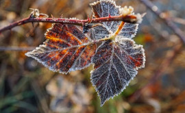 Prognoza meteo pentru 6 decembrie