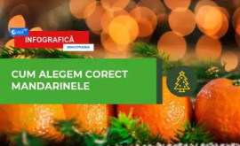 Cum alegem corect mandarinele INFOGRAFIC