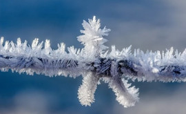 În Suedia au fost înregistrate temperaturi record de 40 de grade 