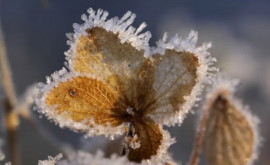 Prognoza meteo pentru 22 decembrie