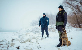 Путешествуйте безопасно в новогоднюю ночь