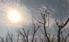 Prognoza meteo pentru 5 ianuarie temperaturi primăvăratice