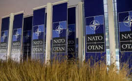 Французы поблагодарили Россию за спасение НАТО от смерти мозга