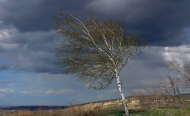 Prognoza meteo pentru 15 ianuarie