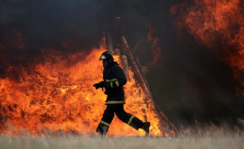 Пожар возле аэропорта С огнем боролись две бригады пожарных