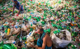 Marile branduri propun un pact global pentru reducerea producţiei de plastic