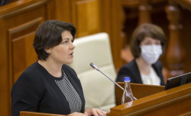 Gavrilița în Parlament Există un risc real pentru securitatea energetică 