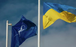 Ministrul de Externe al Germaniei a declarat că aderarea Ucrainei la NATO nu se află pe ordinea de zi
