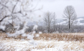 Prognoza meteo pentru 30 ianuarie