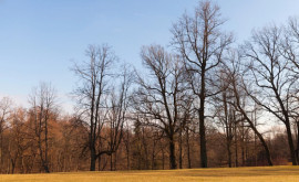 Prognoza meteo pentru 1 februarie