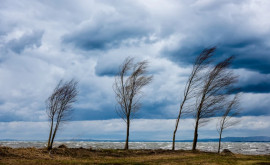 Prognoza meteo pentru 8 februarie