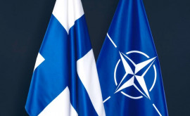 Финляндия заявила о праве подать заявку на вступление в НАТО