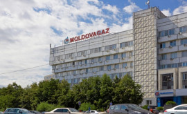 Grosu despre auditul de la Moldovagaz Avem tot dreptul să știm dacă sa respectat legea