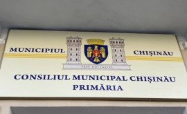 Doi consilieri municipali din Platforma DA anunță că părăresc fracțiunea din cadrul CMC