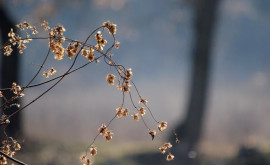 Prognoza meteo pentru 23 februarie Timpul devine mai răcoros