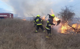 Mai multe incendii de vegetație au fost stinse de pompieri în ultimele 24 de ore 