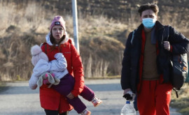 Сколько заявлений о предоставлении убежища подали граждане Украины 