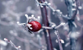 Prognoza meteo pentru 28 februarie Săptămîna începe cu vreme rece