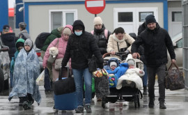 Услуги Бюро по миграции и беженцам МВД стали более доступными