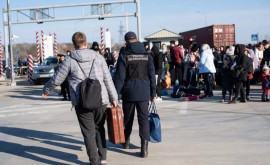 Сколько беженцев въехали в нашу страну до сегодняшнего дня