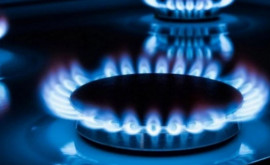 Гаврилица назвала крайне тревожным рост цен на газ в Европе