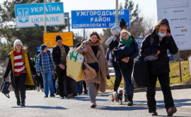 Sinteza Ministerului Afacerilor Interne pentru 8 martie 2022