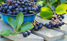 Aronia De ce este bine să consumăm aceste fructe