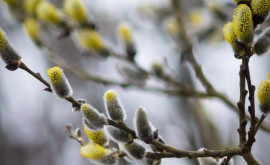 Prognoza meteo pentru 20 martie