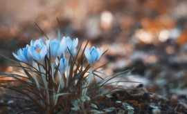 Prognoza meteo pentru 22 martie