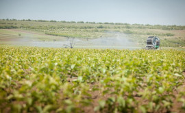 Preţurile îngrăşămintelor agricole au atins maxime record