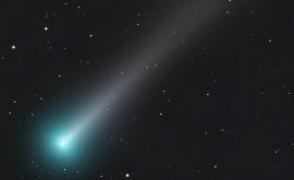 Cometa Leonard sa stins Povestea unui vizitator luminos întro perioadă întunecată