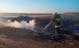 За сутки пожарные ликвидировали более 300 очагов возгорания