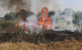 Amenzi uriașe pentru cei care incendiază miriști