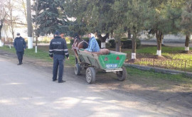 Poliția vine cu recomandări în adresa căruțașilor