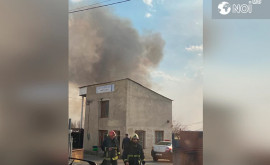 Incendiu de vegetație în sectorul Botanica al capitalei