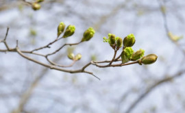 Prognoza meteo pentru 4 aprilie