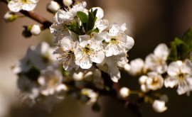 Prognoza meteo pentru 6 aprilie