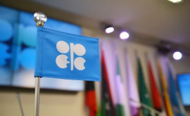 OPEC transmite Uniunii Europene că nu poate înlocui petrolul rusesc