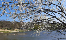 Prognoza meteo pentru 19 aprilie