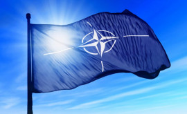 NATO La adresa Moldovei nu există riscuri de natură militară