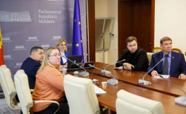 Două comisii parlamentare din Moldova și Italia în ședință În discuție subiecte ce țin inclusiv de integrarea europeană