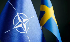 Suedia va cere săptămîna viitoare aderarea la NATO presă