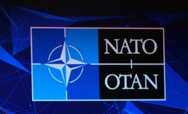 Президент Финляндии позвонил Путину чтобы сообщить о намерении вступить в НАТО