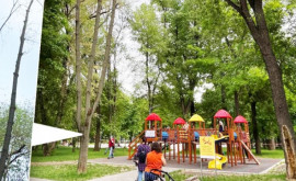 În parcul Alunelul încă mai atîrnă un copac uscat deasupra terenului de joacă 