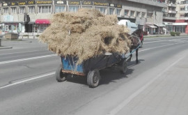 Паскару Если цены на топливо не остановить скоро мы увидим в городе телеги 