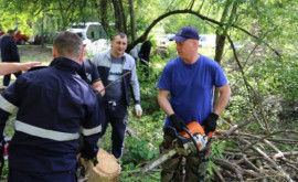 Ajutor pentru Gradina Botanică din capitală