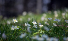 Prognoza meteo pentru 24 mai