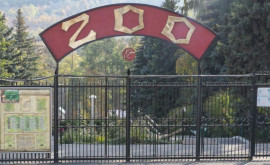 De 1 iunie intrarea la Grădina Zoologică va fi gratuită pentru copii