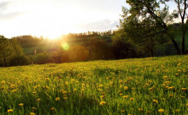 Prognoza meteo pentru 29 mai